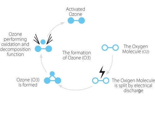 The principle of ozone sterilization